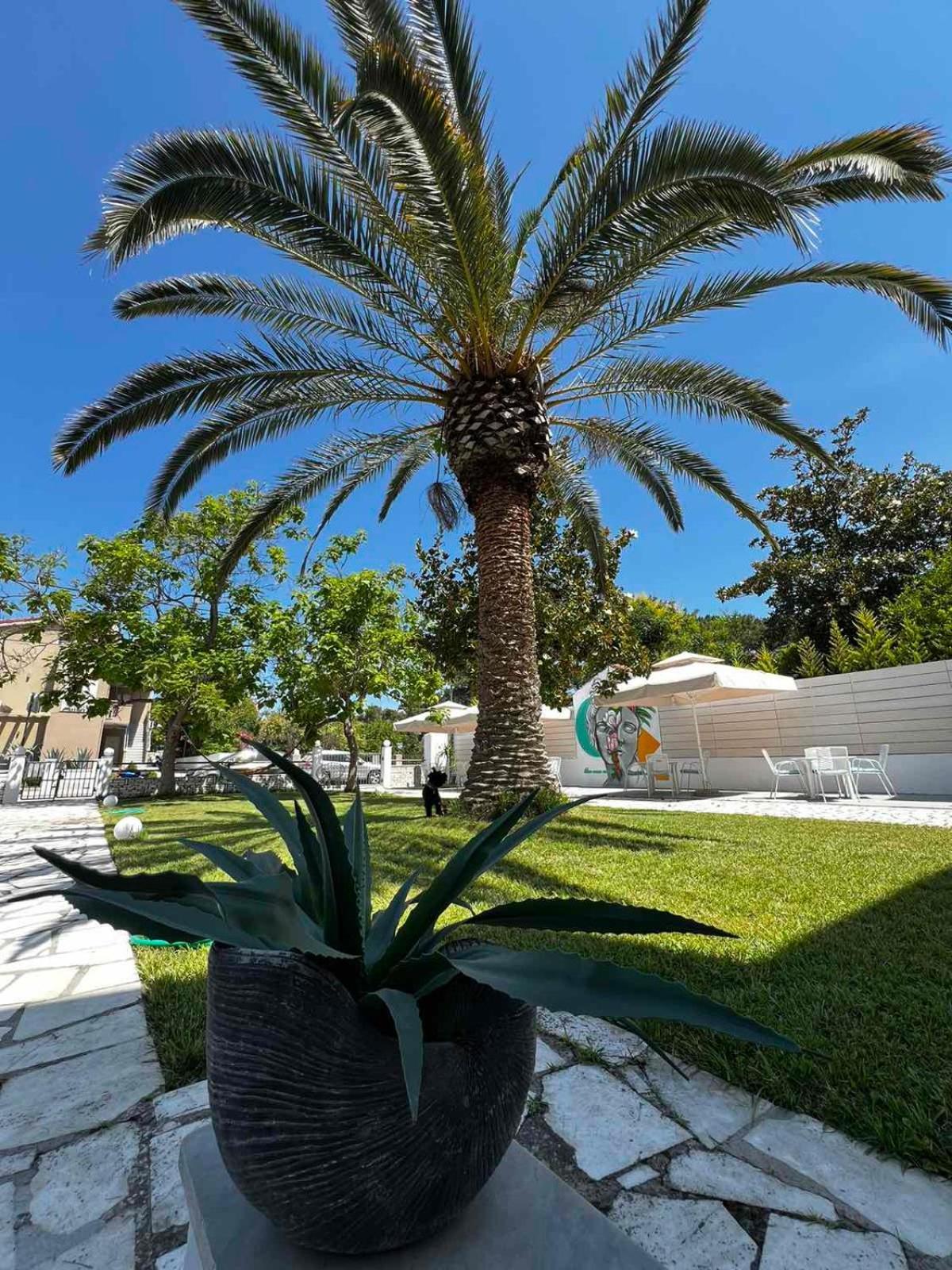 Ormos Prinou  Hotel Proteas מראה חיצוני תמונה