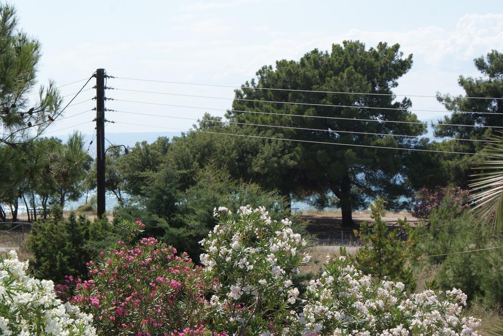 Ormos Prinou  Hotel Proteas מראה חיצוני תמונה
